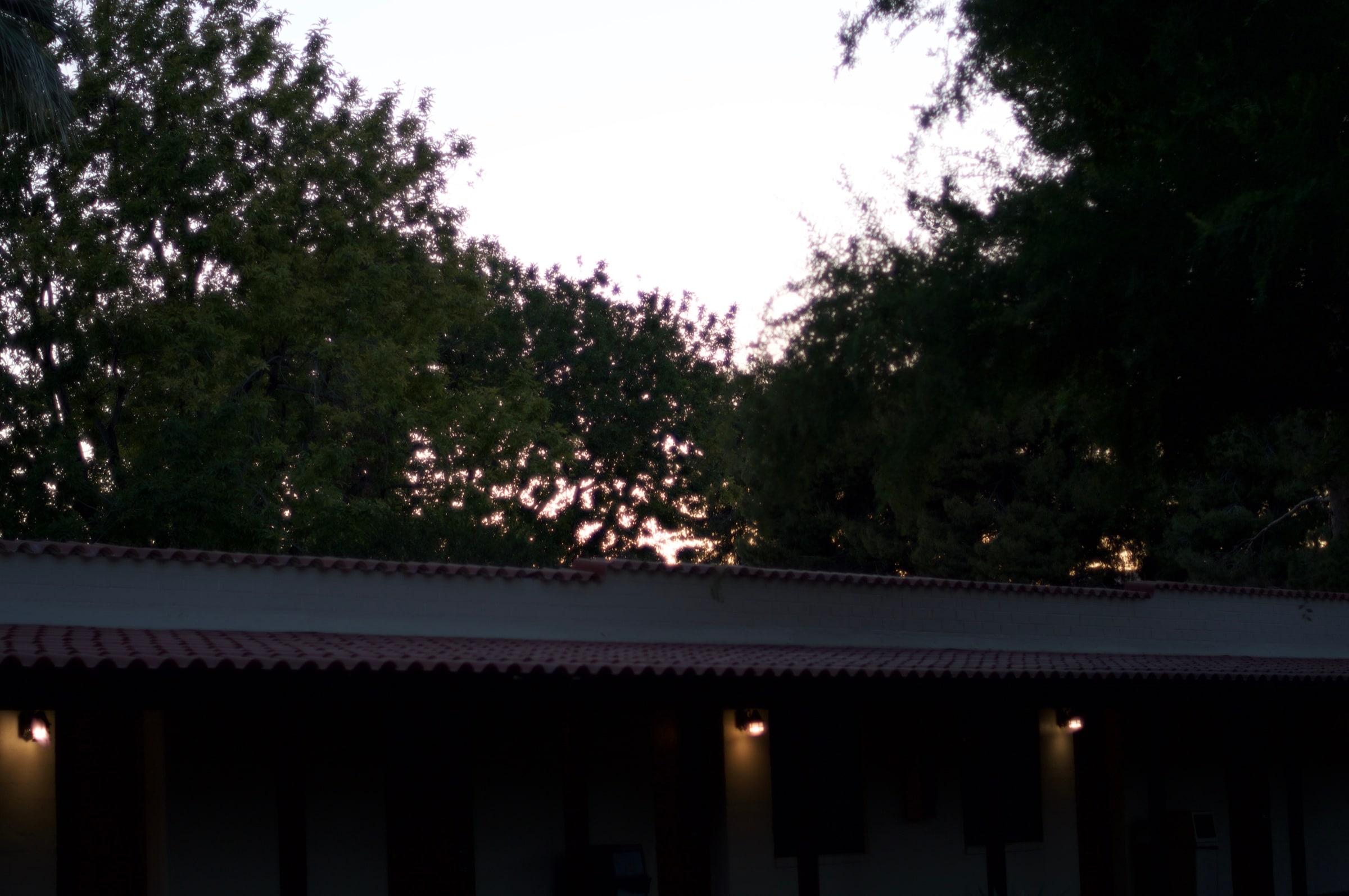 Small lights beneath a low roof at dusk, with trees silhouetted above.