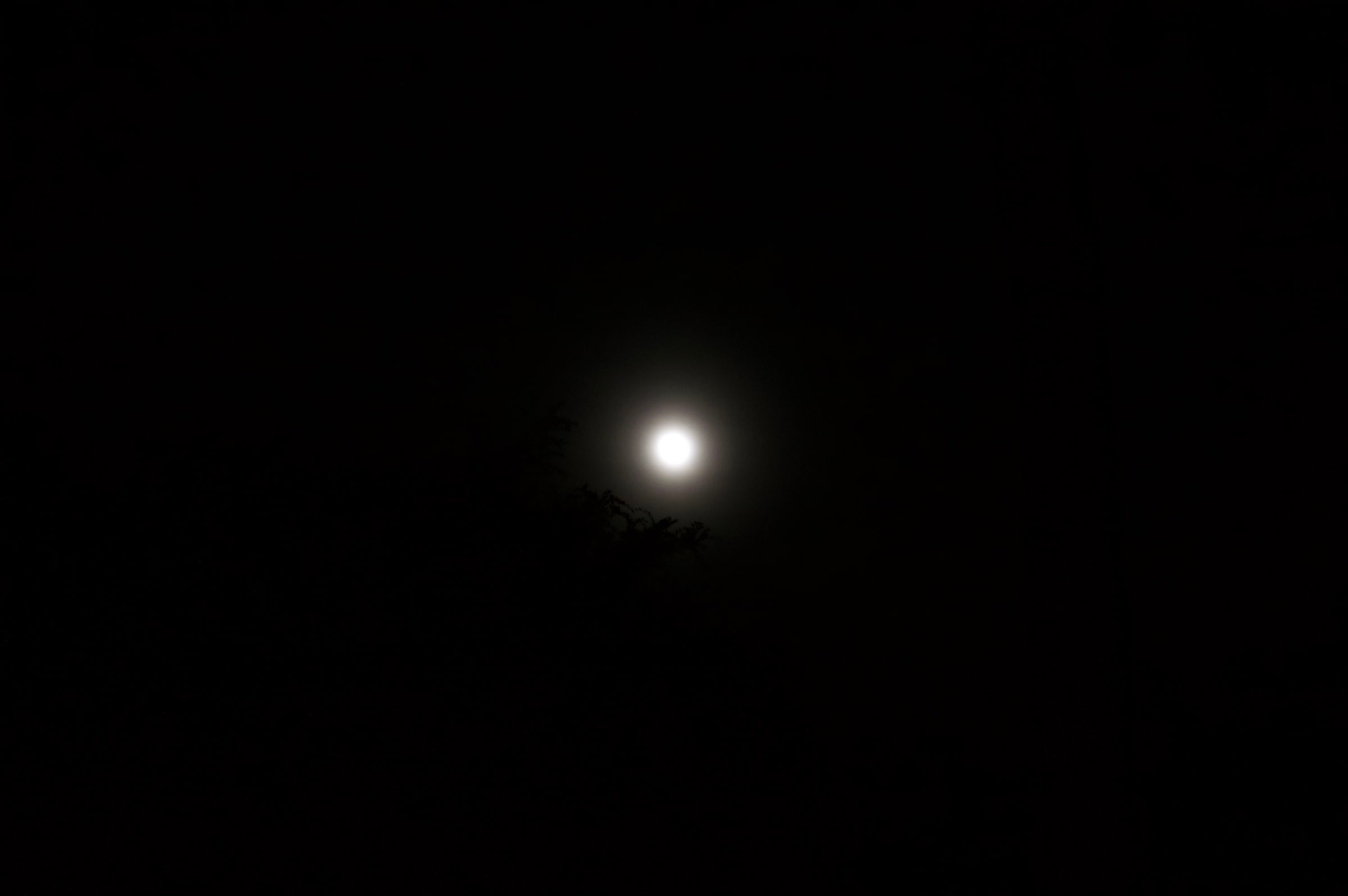 A bright moon suspended in a nearly black sky.