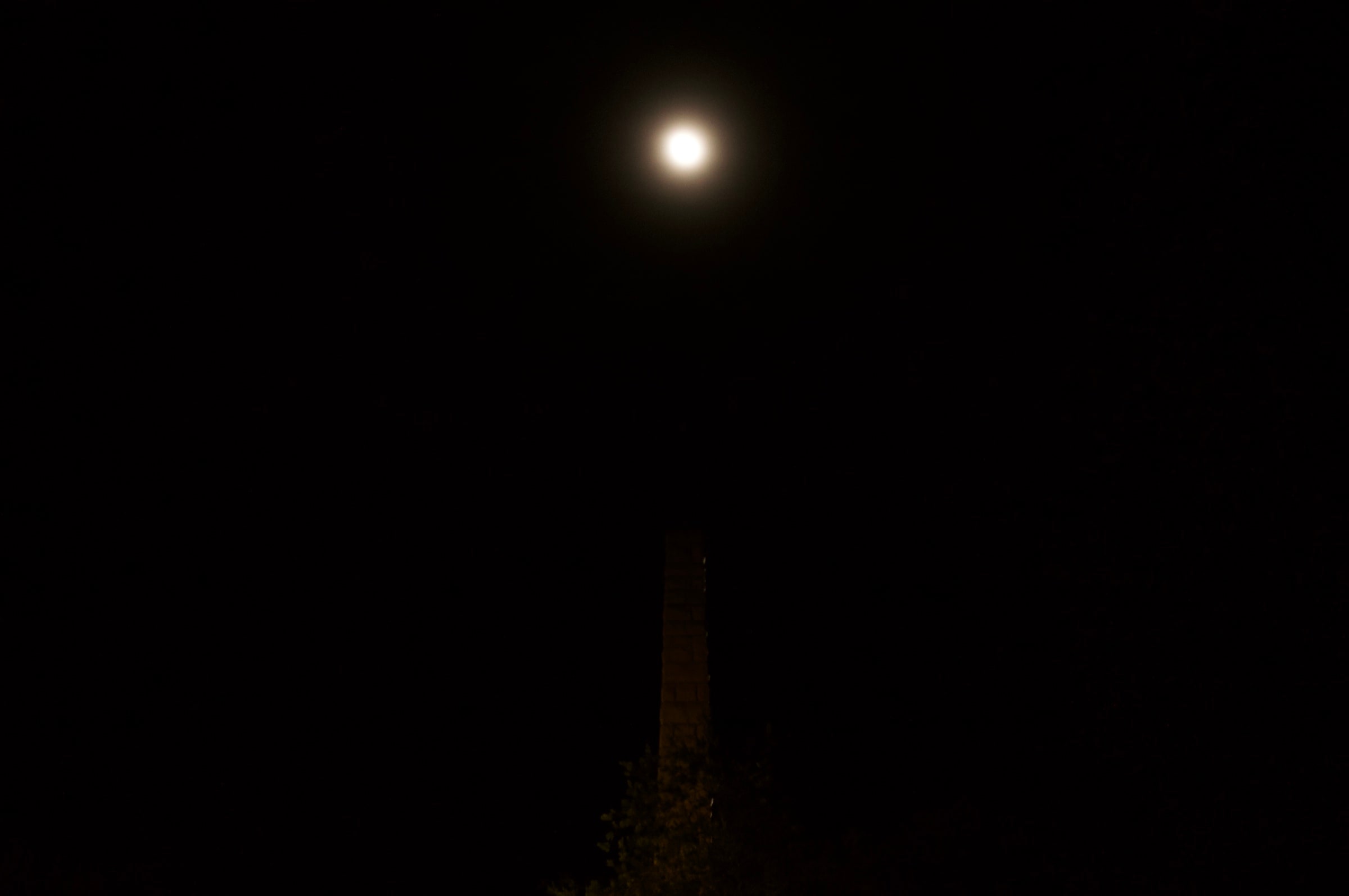 A bright moon above the dark outline of a palm trunk.