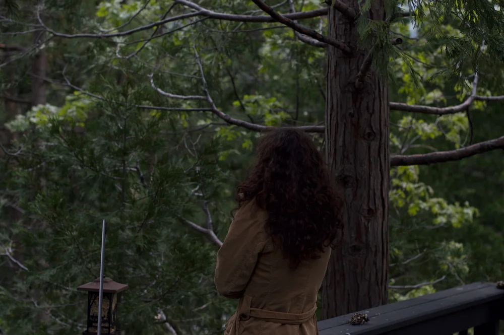 A person seen from behind beside a tree and a woodland railing.