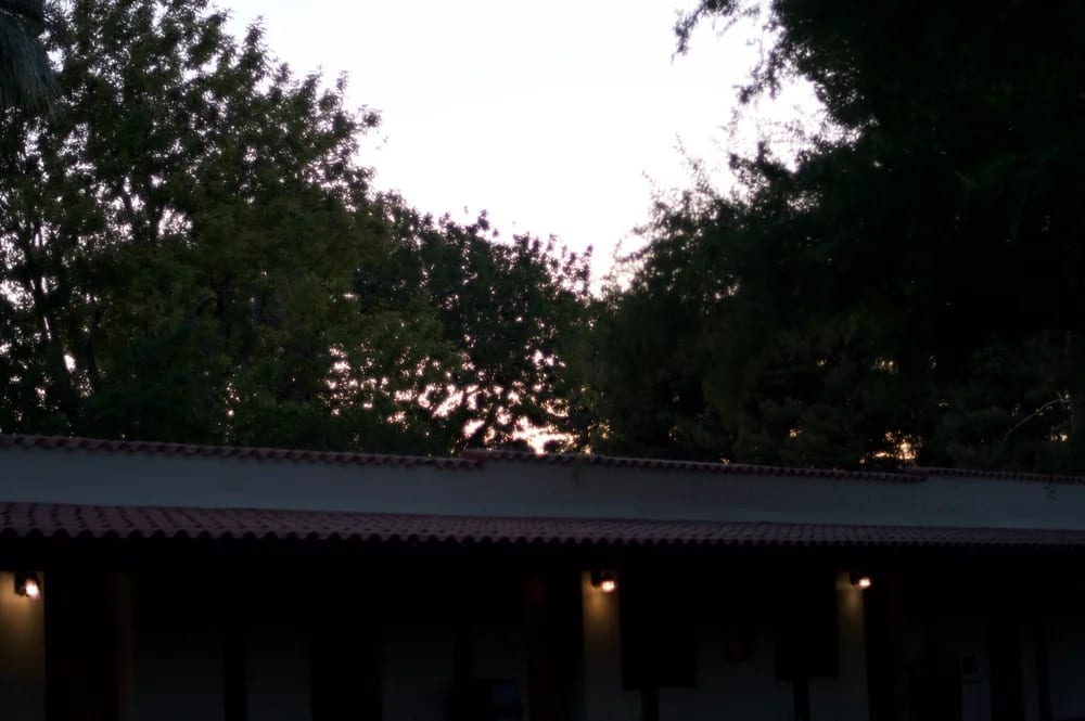Small lights beneath a low roof at dusk, with trees silhouetted above.