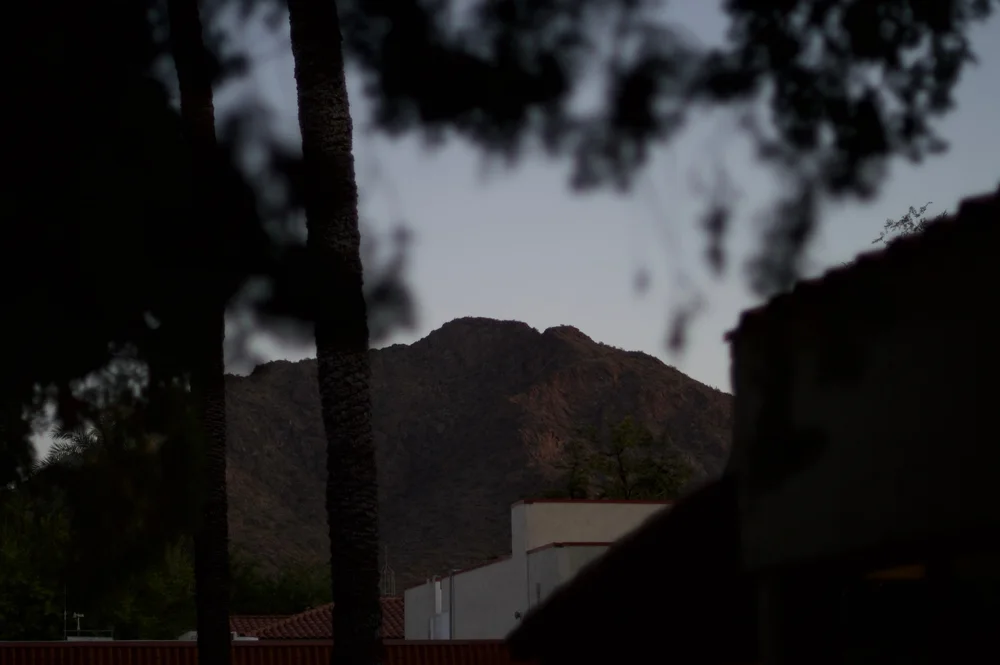 A distant rocky ridge framed by a palm trunk and dark foreground shapes.