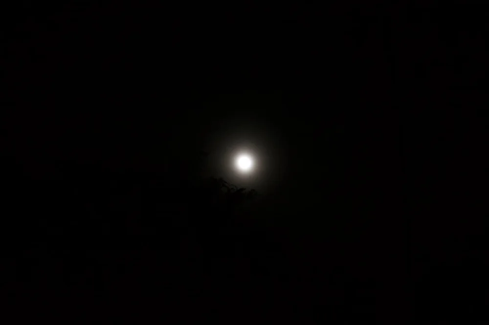 A bright moon suspended in a nearly black sky.