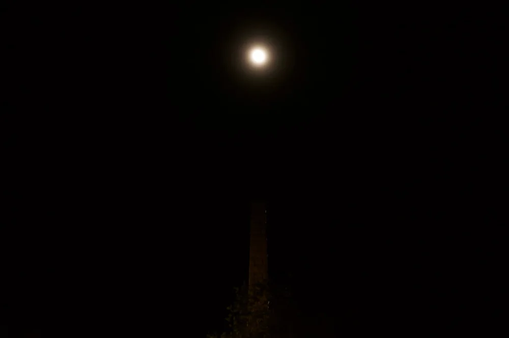 A bright moon above the dark outline of a palm trunk.